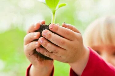 Botany for Kids - 12+ Awesome Activities