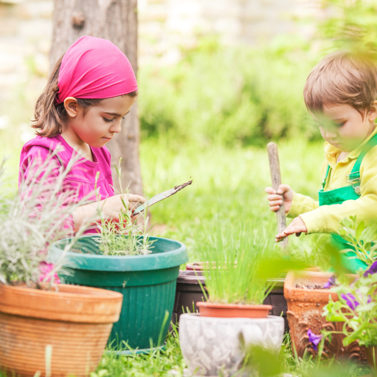 Abbracciare la meraviglia dello studio sulla natura Montessori