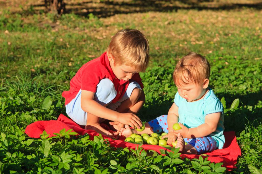 Attività di selezione delle mele Montessori: un sacco di divertimento in età prescolare
