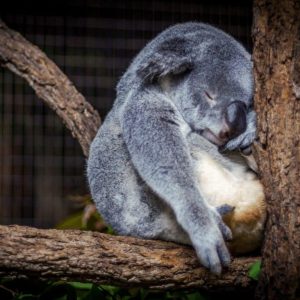 What is False Fatigue?