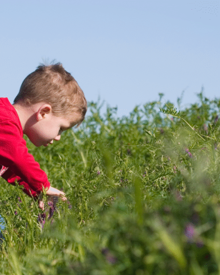 Attività di maggio divertenti e coinvolgenti per i bambini in età prescolare