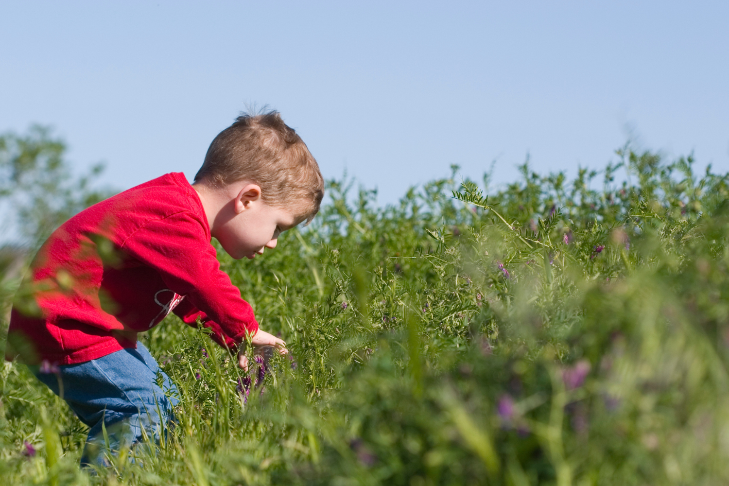 Attività di maggio divertenti e coinvolgenti per i bambini in età prescolare