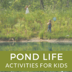 Pond Life Exploration con attività uniche Montessori