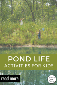 Pond Life Exploration con attività uniche Montessori