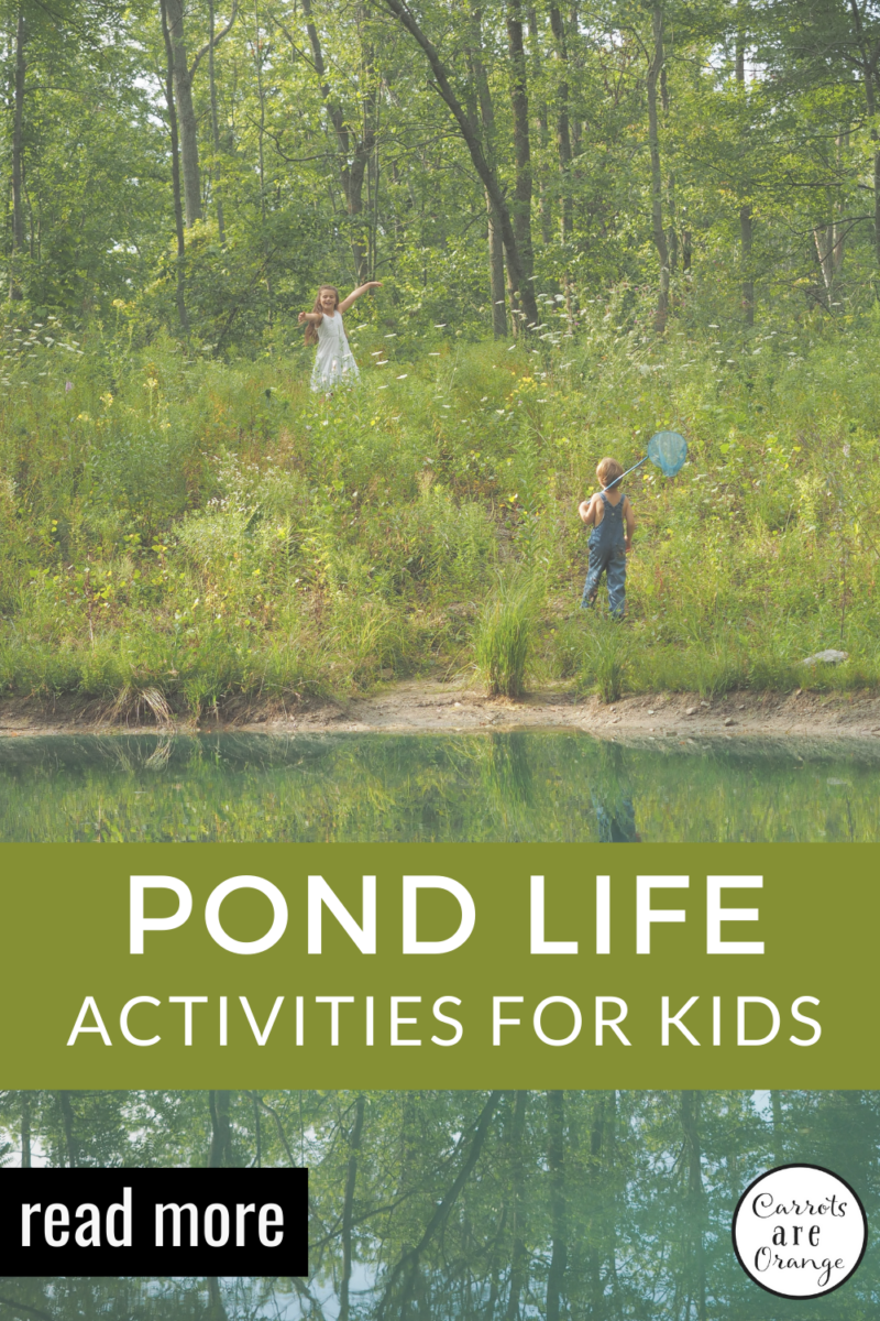 Pond Life Exploration con attività uniche Montessori